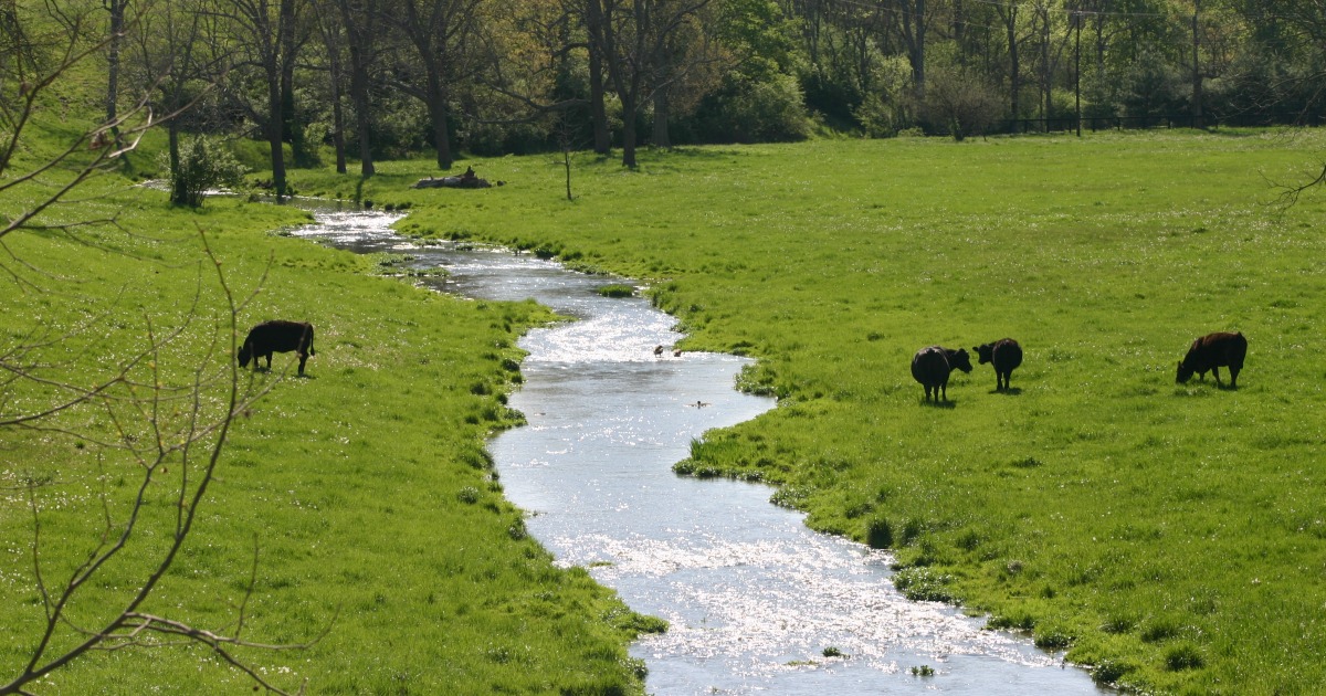 A Strategic Vision for Water in Kentucky