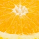 Florida Citrus Fruit and Nut Order Form - Union County
