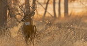 Candid Conversation: Kentucky Department of Fish and Wildlife Resources Commissioner Rich Storm