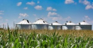 Kentucky Agriculture, Ready for Renewable Fuels Expansion