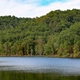 Division of Conservation Update