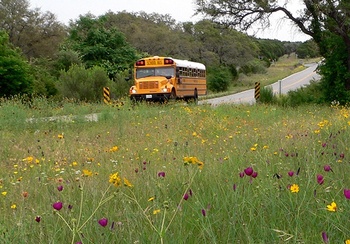 5 tips for sharing the road with school buses 5 tips for sharing the road with school buses