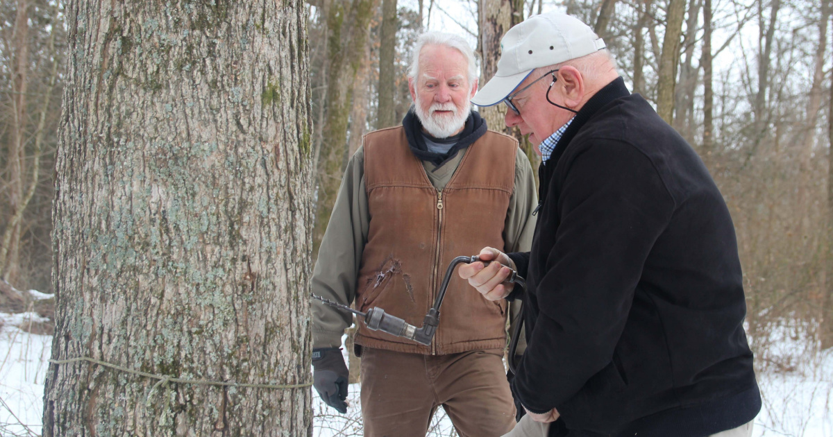 Maple Syrup Puts Sweet Stamp on February