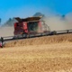 As the 2025 Harvest Continues