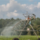 2018 Irrigation and Water Management Survey