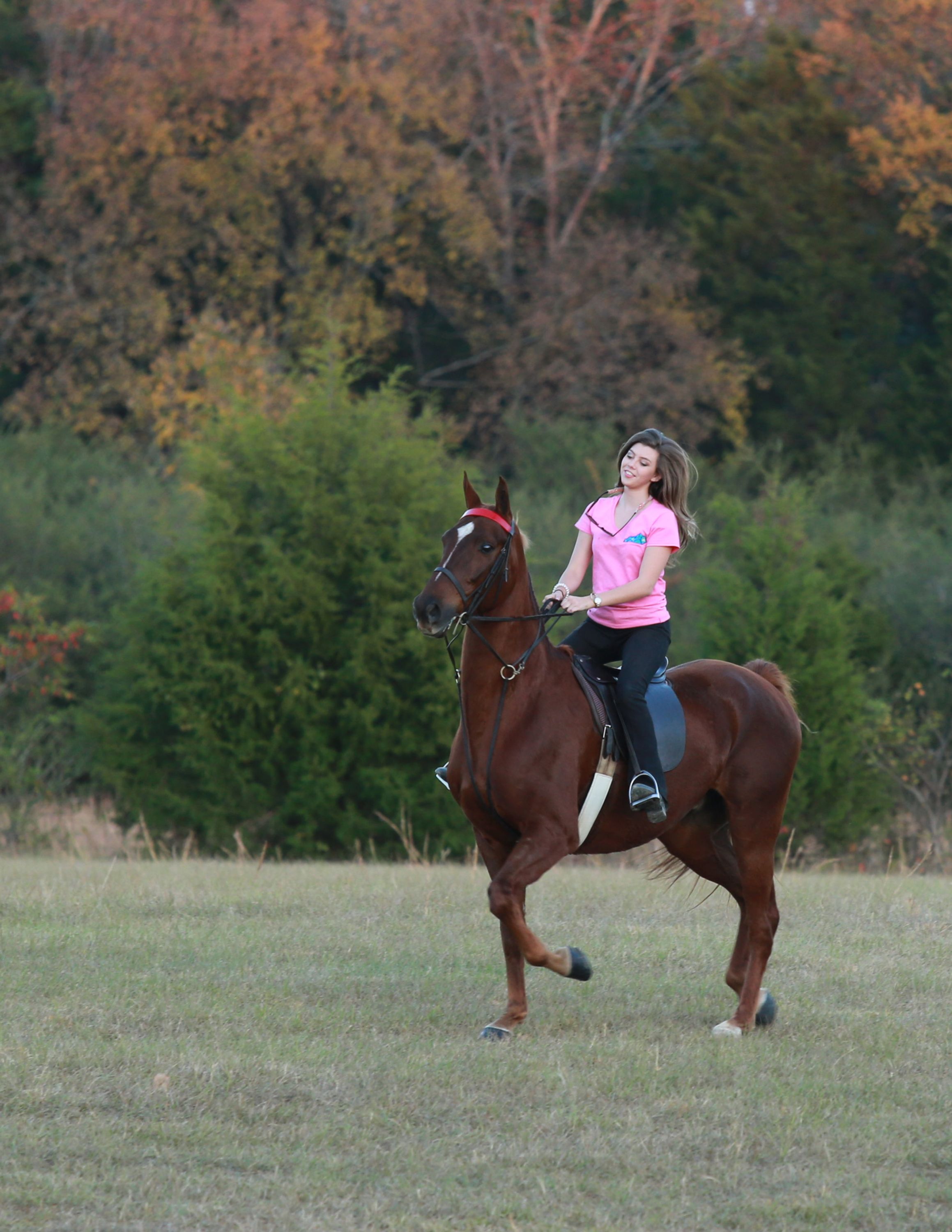 >Future equine vet Sierra Newsome takes her horse on a trail ride >Future equine vet Sierra Newsome takes her horse on a trail ride