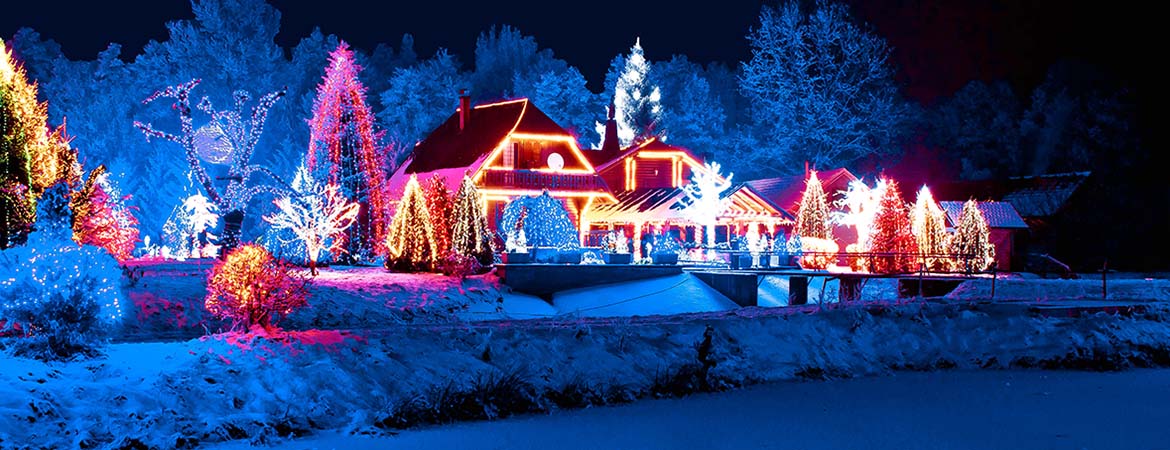 During the holiday season, emergency rooms nationwide are flooded with victims of holiday decor gone wrong. During the holiday season, emergency rooms nationwide are flooded with victims of holiday decor gone wrong.