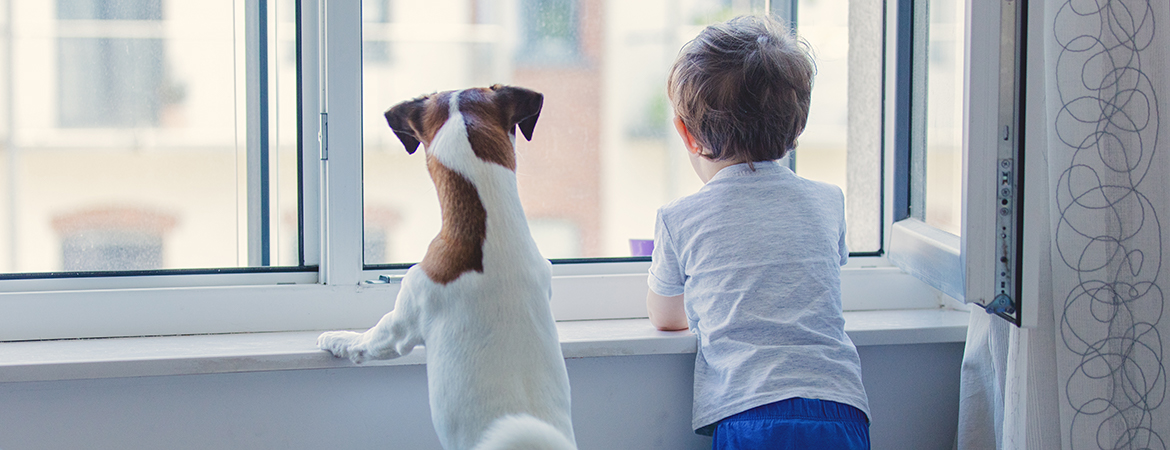7 tips for window safety blog 7 tips for window safety blog