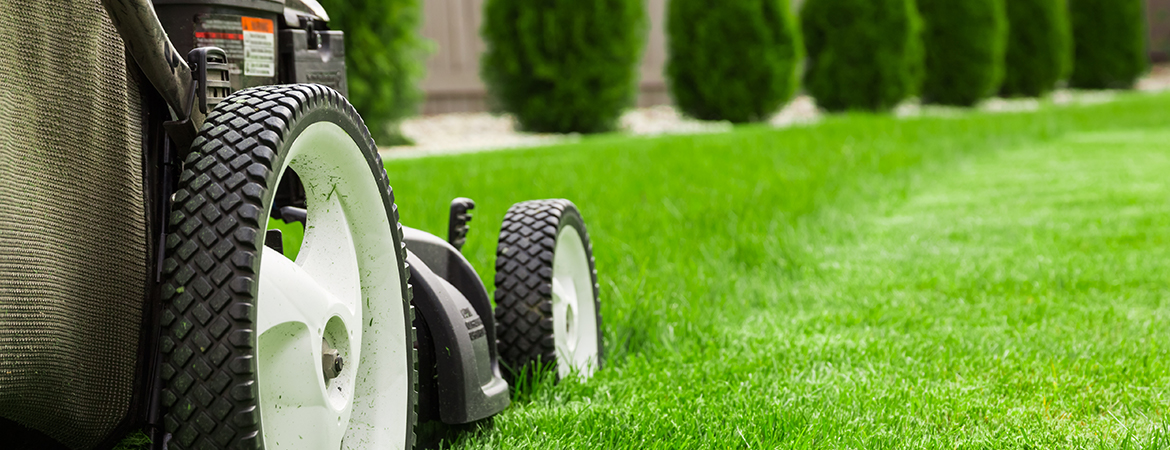 Before you begin mowing Before you begin mowing