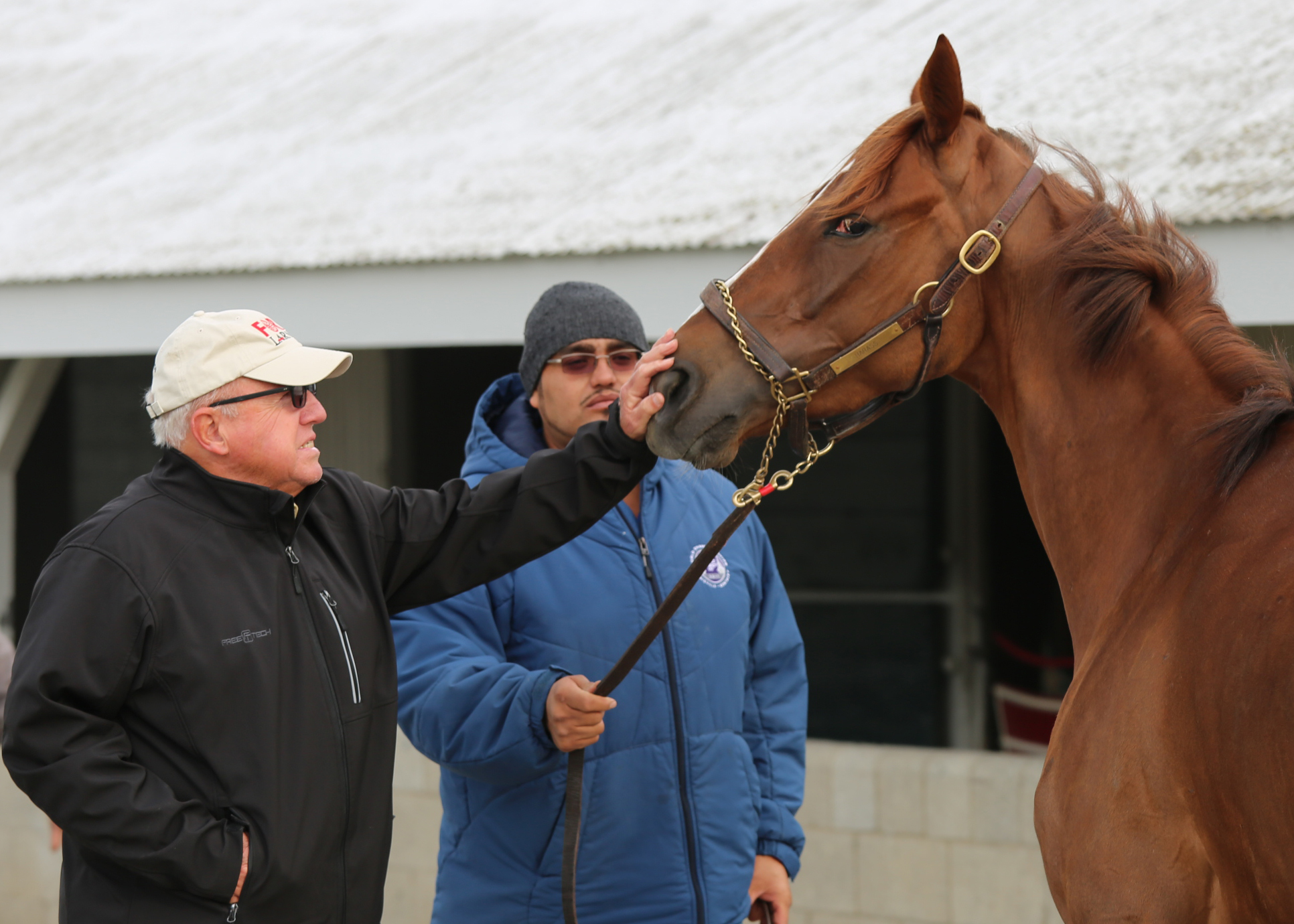 For Frank Penn, Horses and Tobacco have made a Great Combination on the Farm For Frank Penn, Horses and Tobacco have made a Great Combination on the Farm