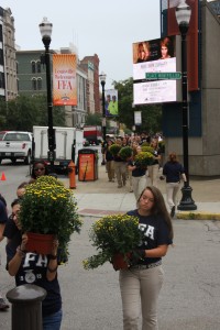 Local FFA members planted mums along Main Street.