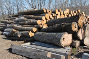 sawmill 007
