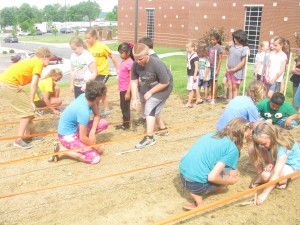Students at Beaver Dam Elementary School planted seeds this spring and enjoyed positive results such as these sunflowers and vertical squash.