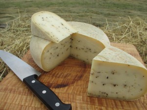 Photo courtesy of Good Shepard Cheese.