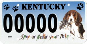 Spay-neuter license plate
