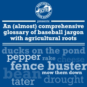 baseball jargon
