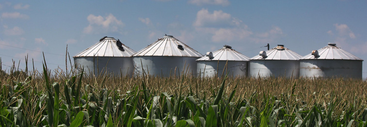 Calloway County Farm Bureau