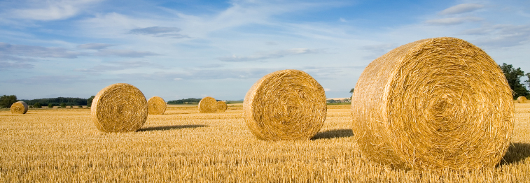 Floyd County Farm Bureau