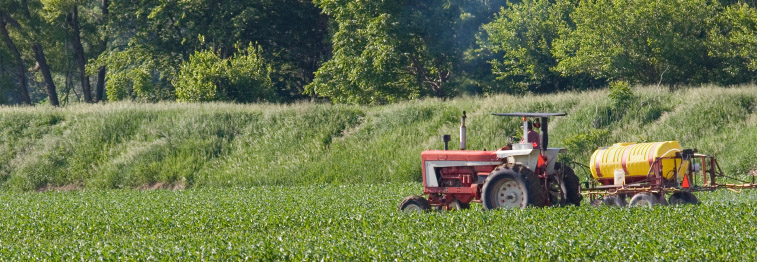 Menifee County Farm Bureau