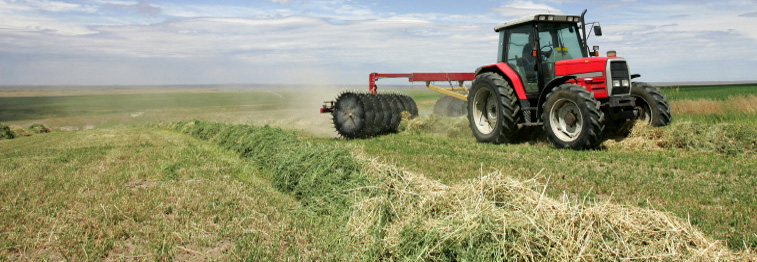 Metcalfe County Farm Bureau