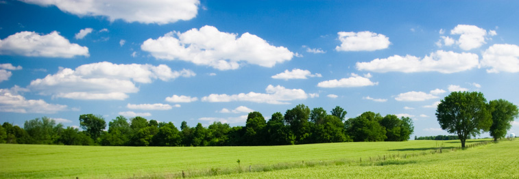 Taylor County Farm Bureau